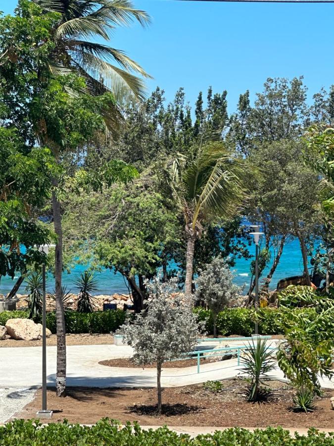 Apartmán Whitehouse Boulevard, Close To Mambo Beach And City Centre Willemstad Exteriér fotografie